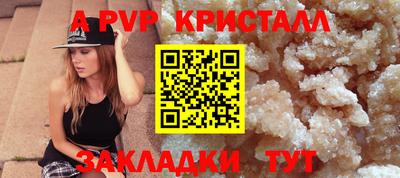 мяу мяу мука Гатчина