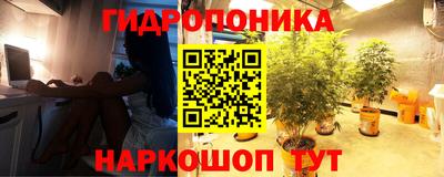 трава Гай