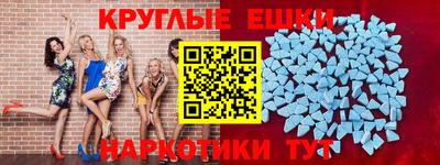 мяу мяу мука Гатчина
