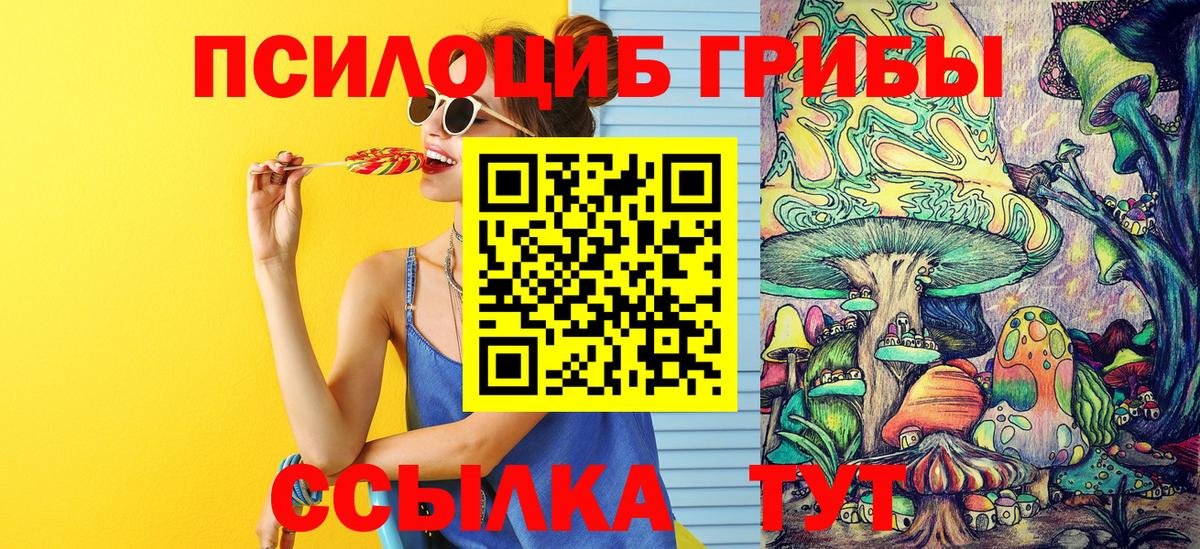 Юрга  Галлюциногенные грибы Cubensis  Вход с VPN 